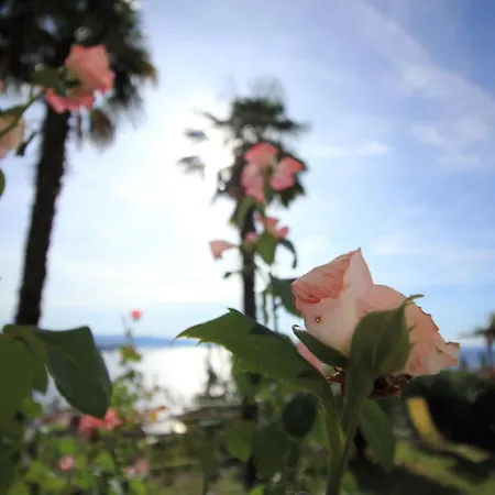 Tramontana - Cozy And Charming Close To Sea Apartman *